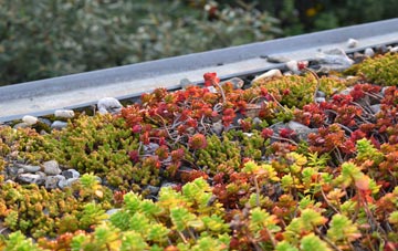 the cost of Oran green roof installation