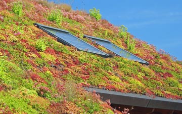 Oran living roof systems