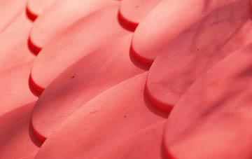 Oran plastic roof costs